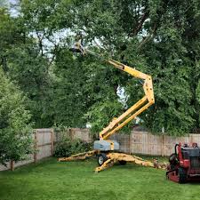 Best Pest Control for Lawns  in East Vineland, NJ