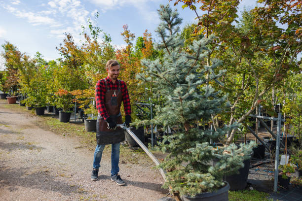 Best Arborist Consultation Services  in East Vineland, NJ